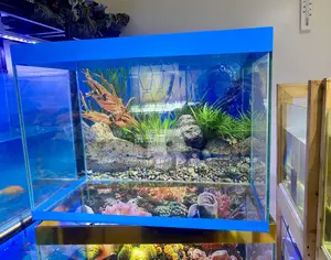 Show-Stopping Aquarium With All Features
