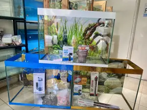 Complete 2ft Aquarium Kit – Just Add Fish!