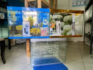 Plug Play Aquarium – Setup in Minutes