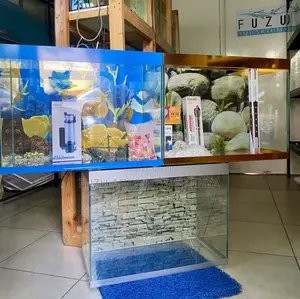 Aquarium Deal of the Month