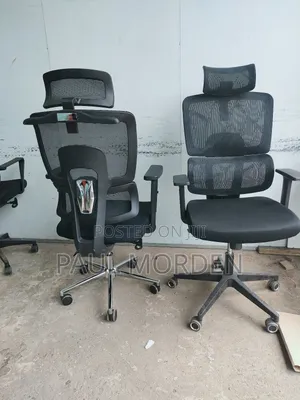 Orthopedic Adjustable Chair