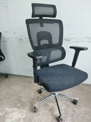 Reclining Orthopedic Office Chair