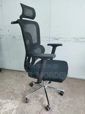 Smartest Orthopedic Office Chair