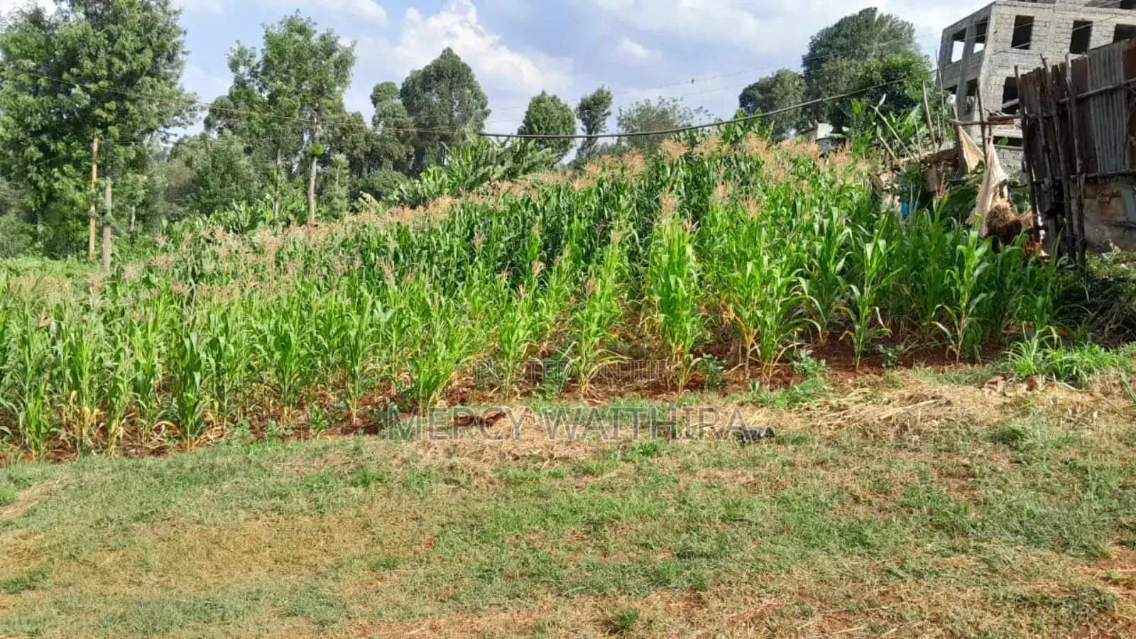 Plot for Sale in Wangige