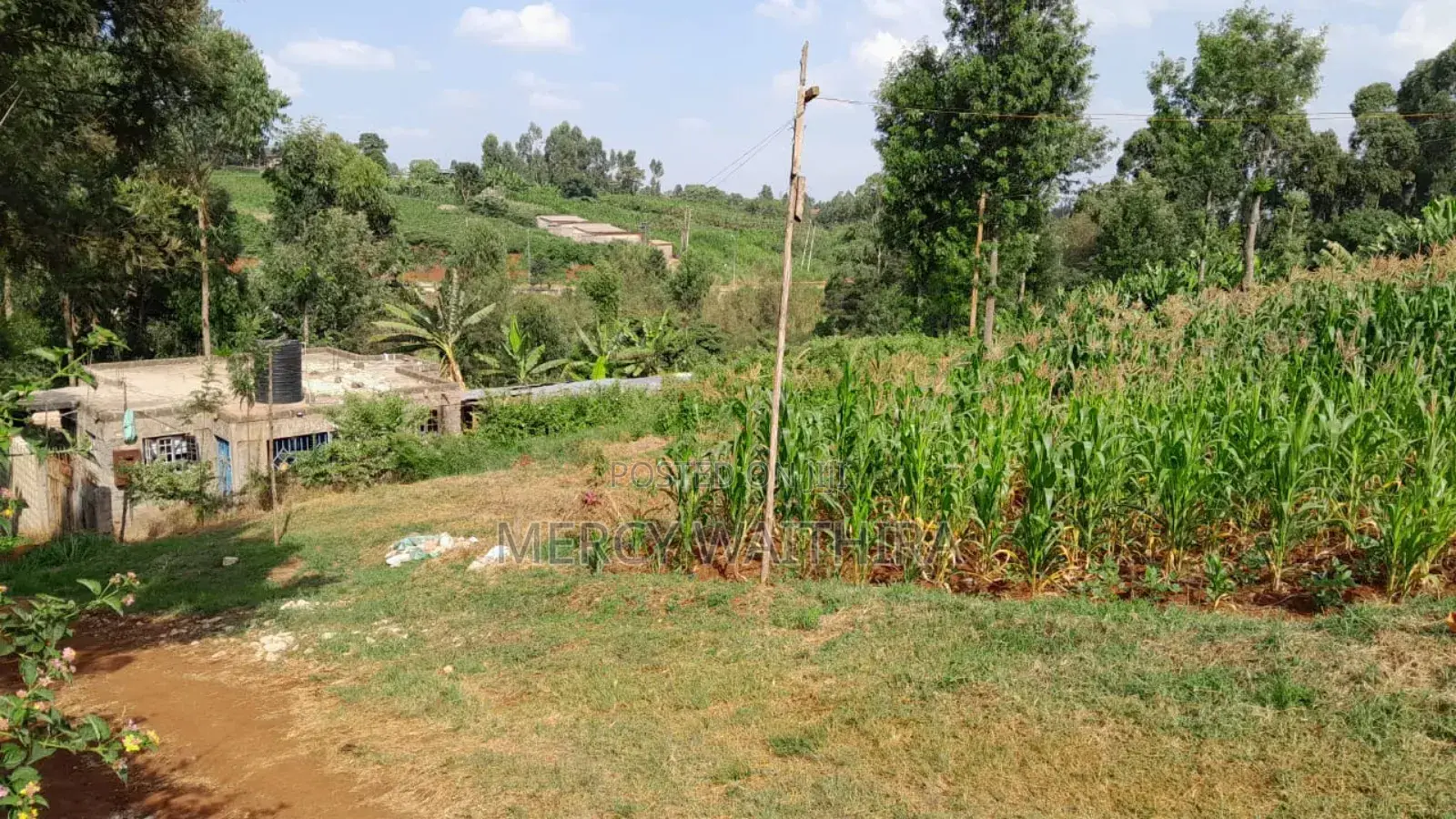 Plot for Sale in Wangige