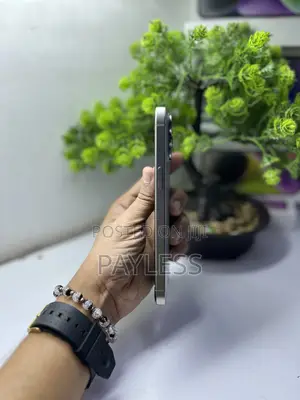 Apple iPhone 15 Pro Max 256 GB Gray