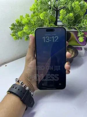 Apple iPhone 15 Pro Max 256 GB Gray