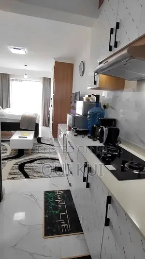 Airbnb Executive Studio in Kilimani