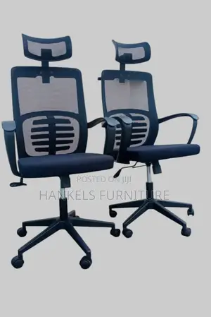 Orthopedic Mesh Back Chair