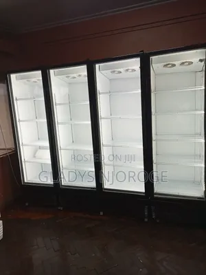 Affordable Premier Chiller Clean Smart