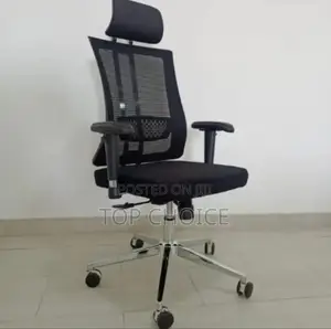 Orthopedic Ergonomic Office Chair
