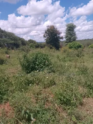 Land -22 Acres.Machakos
