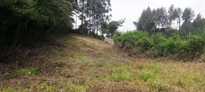 Vacant Plots for Sale in Thogoto