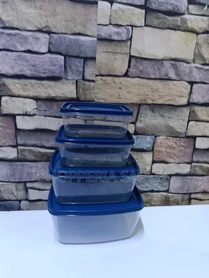 Fridge Containers- 4 PCS Navy Blue