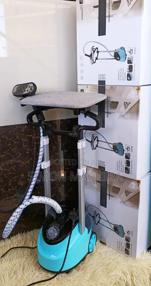 2 in 1 Garment Steamer