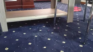 Blue Diamond Wall to Wall Carpet Floor Use