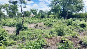 3/4 Acre Second Row Beach Plot!!