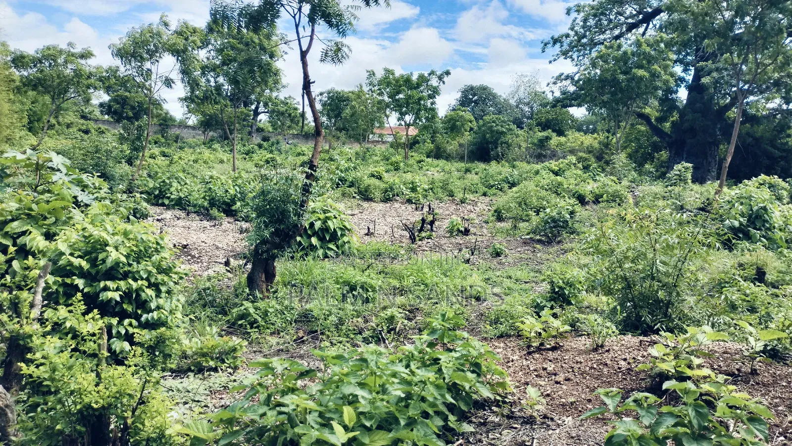 3/4 Acre Second Row Beach Plot!!