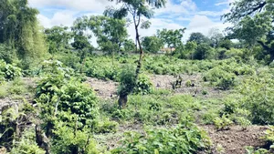 3/4 Acre Second Row Beach Plot!!