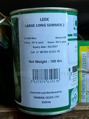 Leek Large Long Summer 2