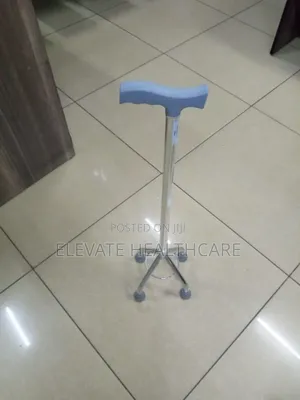 Quad Walking Stick