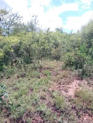 Machakos Land for Sale -1,2 ,3 ,4 or 5 Acre's