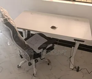 Electric Desk: 1.2m Standing Adjustable Table