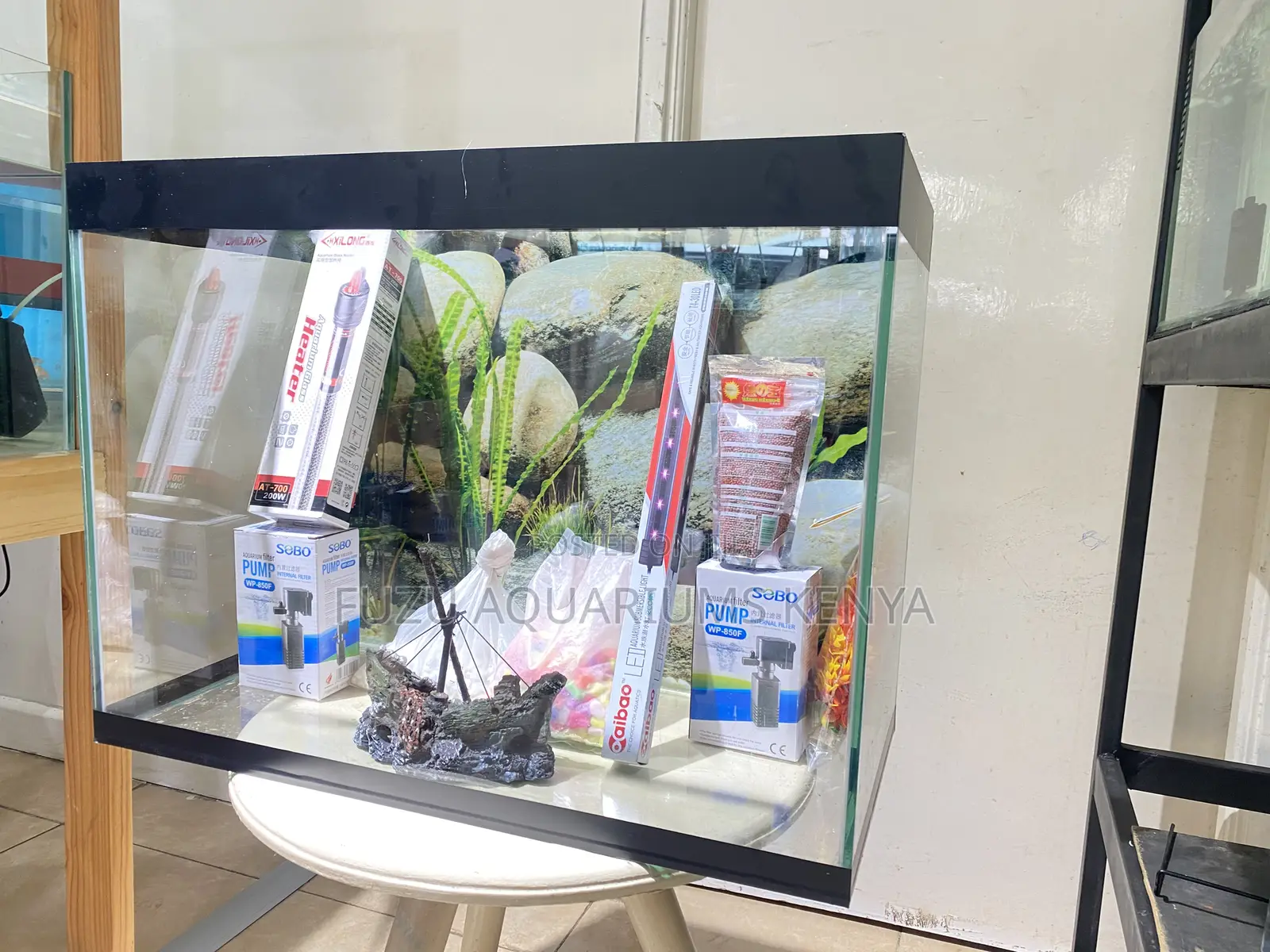 Brighten Your Home With a Lively Fish Display
