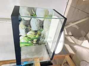 Easy Maintenance, Big Impact – 2ft Aquarium Kit