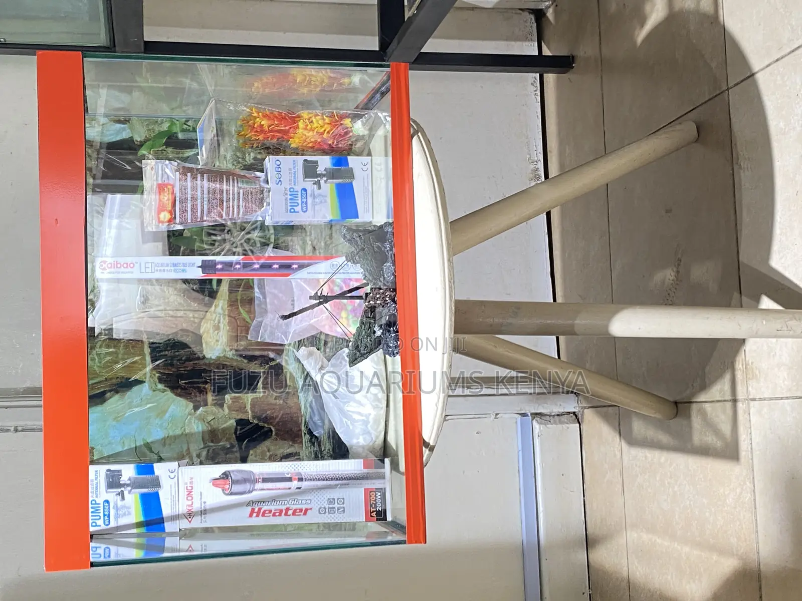60l Aquarium Setup – Beauty Meets Simplicity