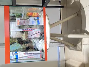60l Aquarium Setup – Beauty Meets Simplicity