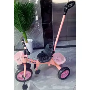 Kids Push Tricycle Bike