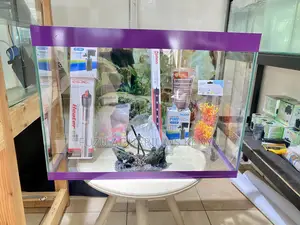 Your Peaceful Home Aquarium Awaits