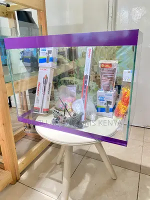 The Perfect Purple Aquarium for Beginners Experts