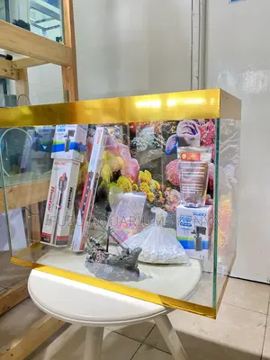 Affordable 2ft Aquarium With Accessories
