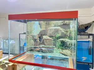 Lively Aquarium Setup – Delivered From Nairobi