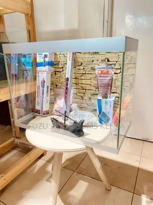 Delight Your Kids With a Colorful Fish Aquarium