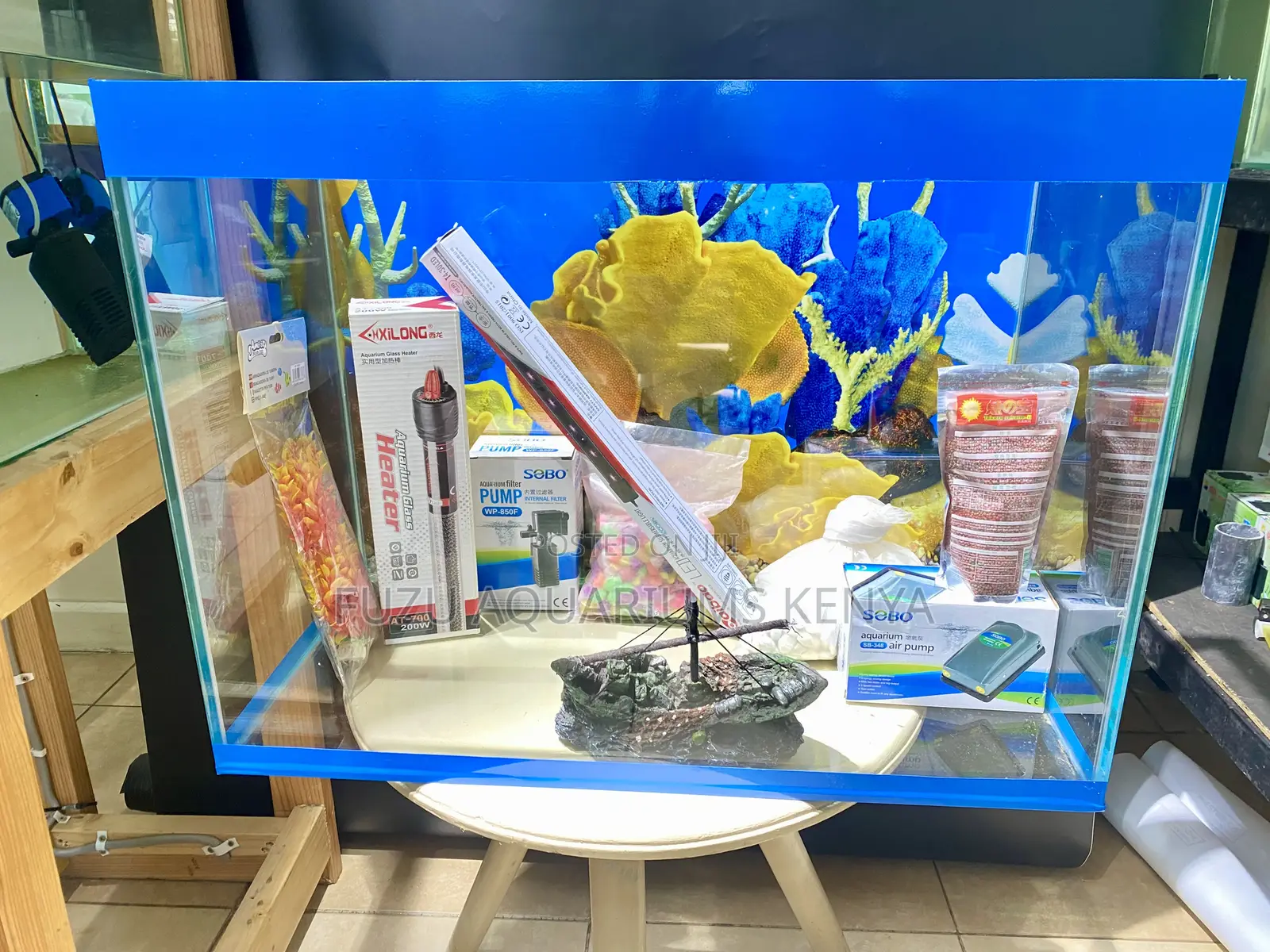 Create Tranquility at Home or Office Aquarium