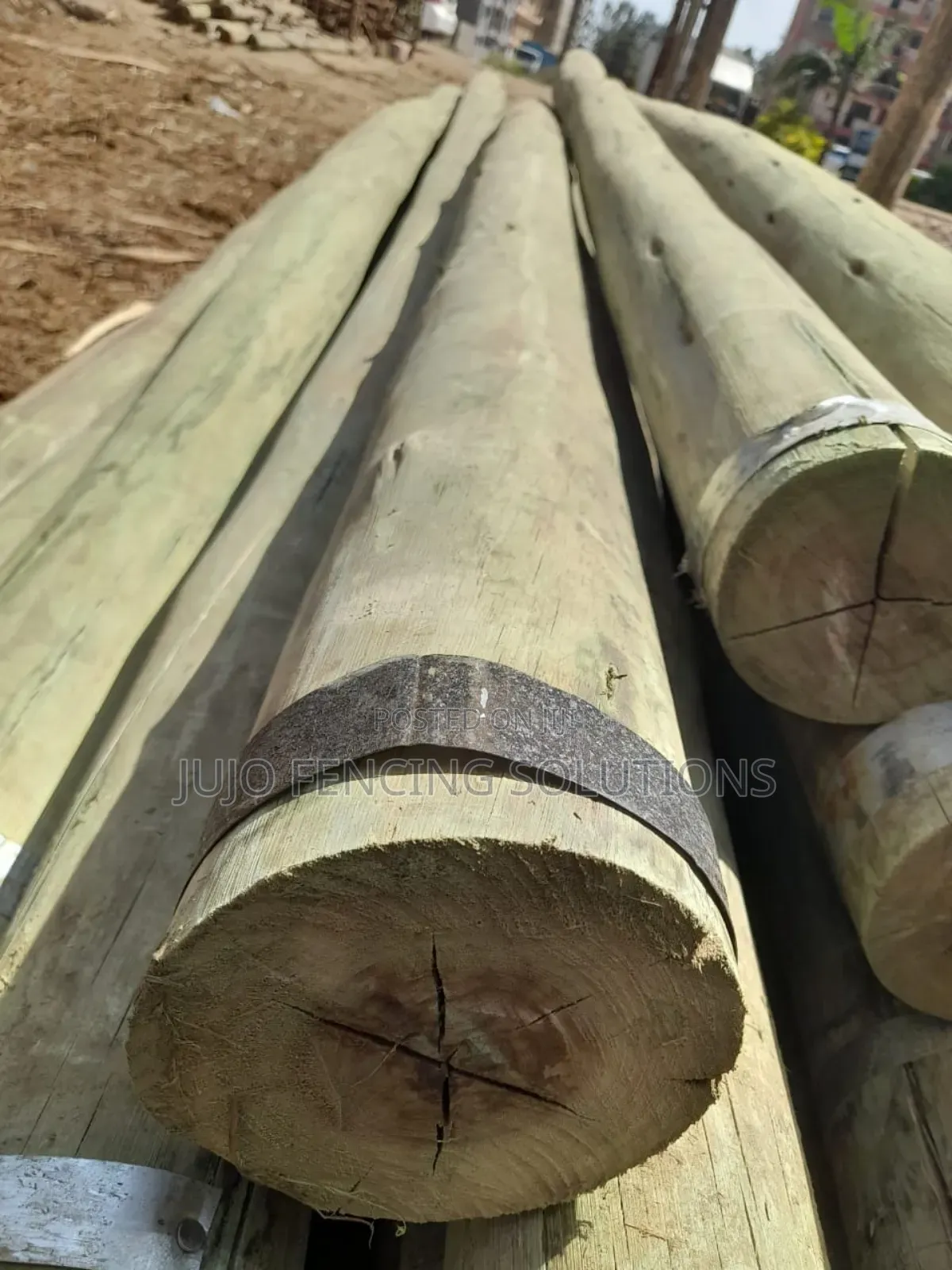 18ft/20ft Treated Poles