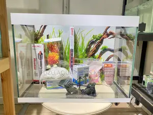 Upgrade Your Space With a Colorful Aquarium