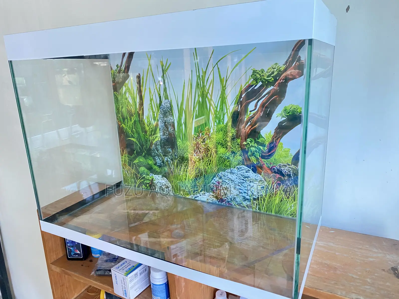 Experience Tranquility With a 60l Aquarium