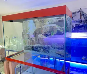 Aquarium Vibes – Your Home Just Got Cooler