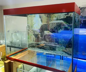 60l Aquarium That Makes a Statement