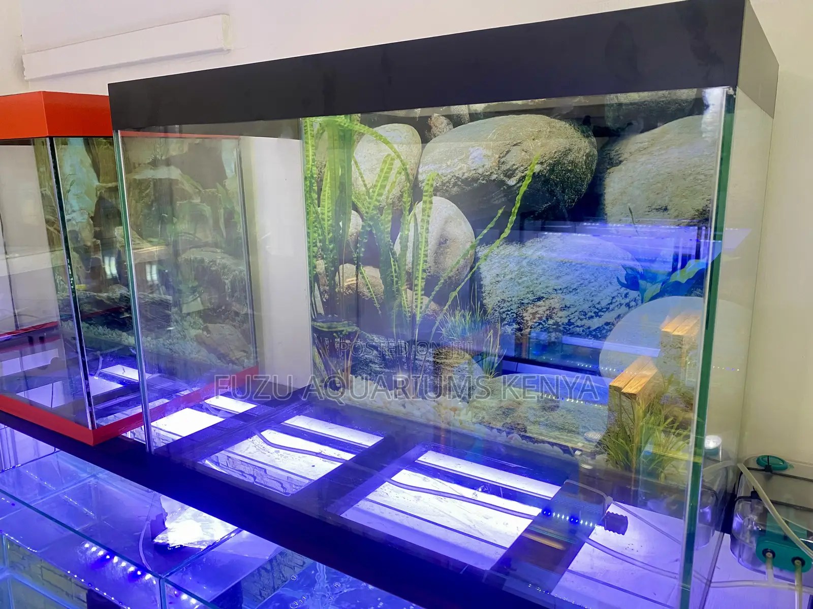 Aquarium Experience at Its Finest