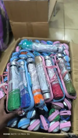 Small Portable Umbrella