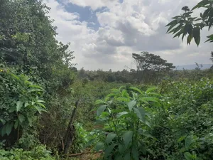 5 Acres Virgin Land for Sale in Karen Resurrection Area