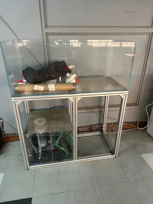 Fish Tank 1 Meter Tall