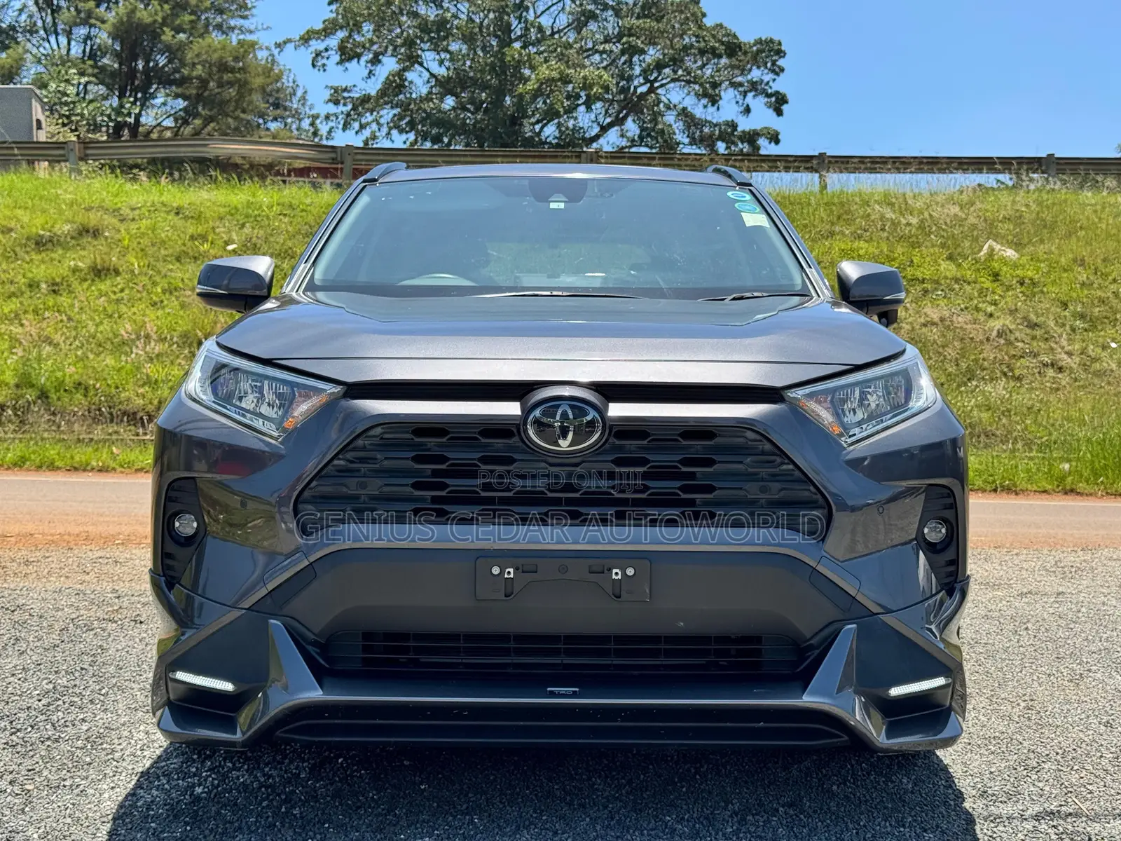 Toyota RAV4 2020 Gray