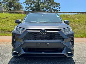 Toyota RAV4 2020 Gray