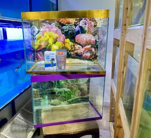 Aquariums for Peace, Style Serenity